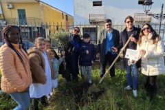 Giornata-Albero-2025-12-10-Plesso-Centrale-16