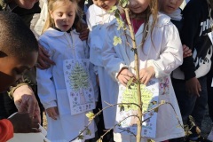 Giornata-Albero-2025-12-10-Plesso-Villaggio-14